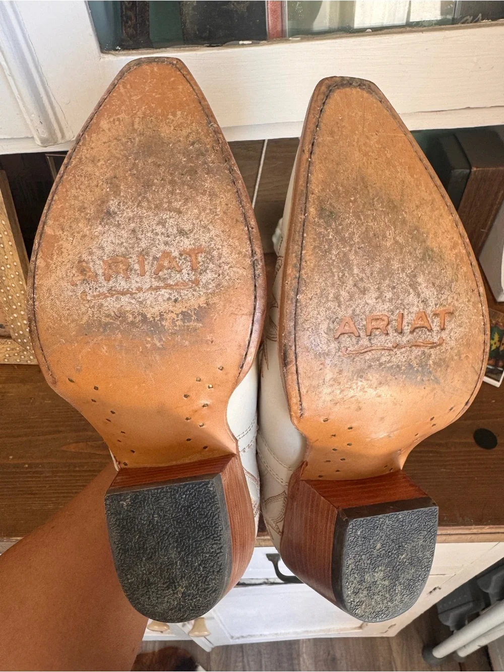Women’s Ariat Dixon bootie